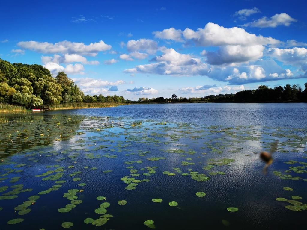 Виллы Sielsko i Zacisznie Элк